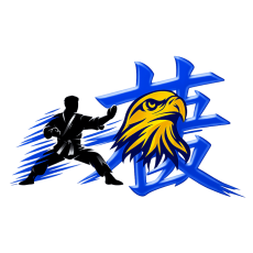 Individual Registration - Early Bird